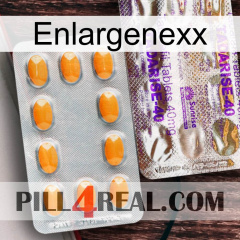 Enlargenexx new12